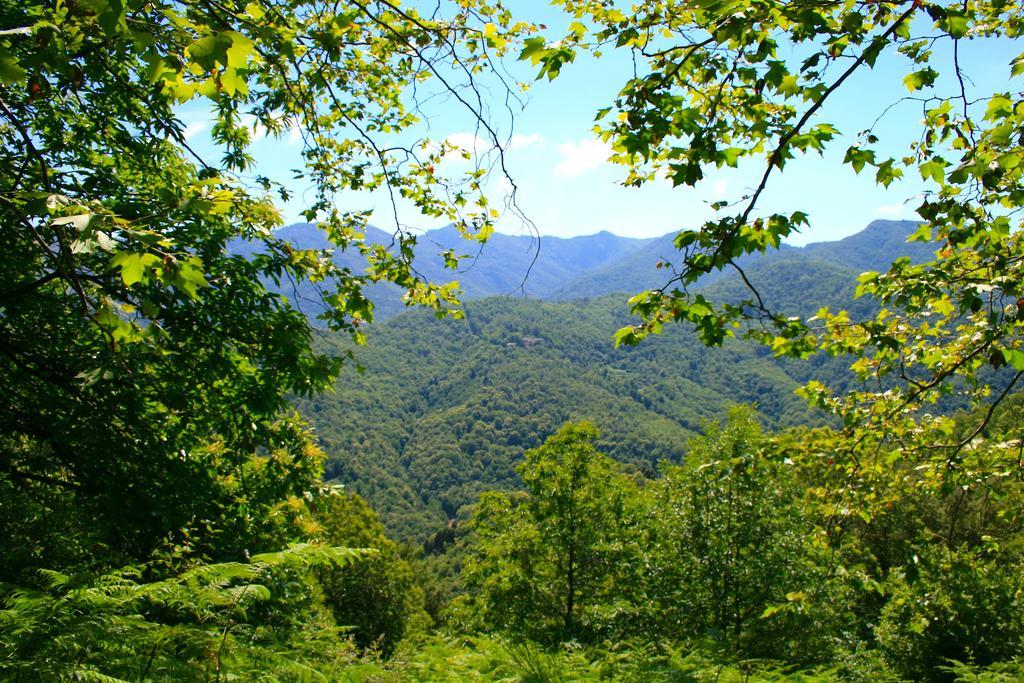 Le Refuge Orezza Piedicroce  Buitenkant foto