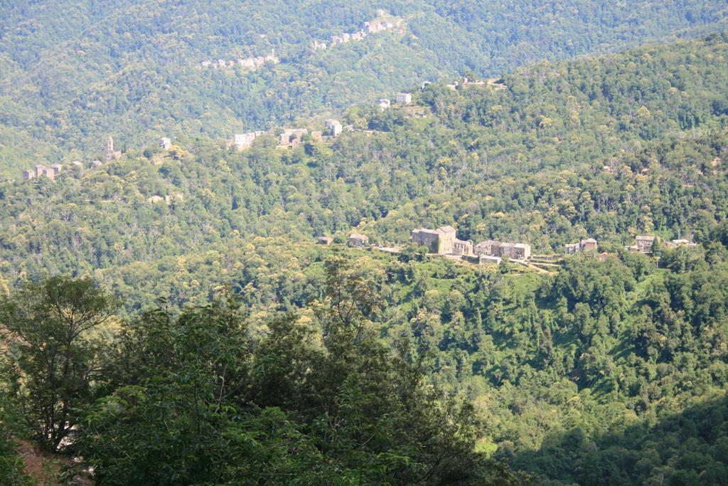 Le Refuge Orezza Piedicroce  Buitenkant foto