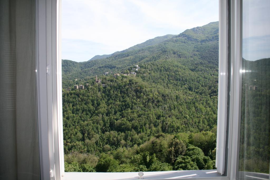 Le Refuge Orezza Piedicroce  Kamer foto